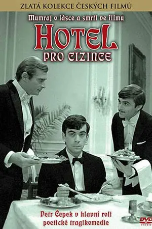 Постер к фильму Отель для чужестранцев (1966)