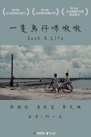Постер к фильму Yi zhi niao zi xiao jiu jiu (1997)