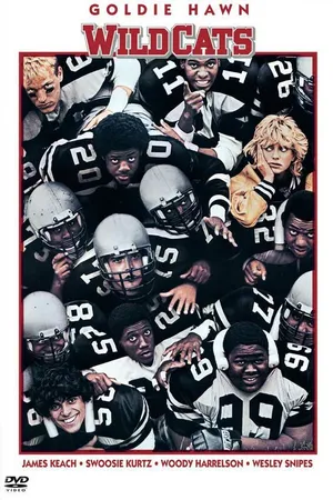 Постер к фильму Дикие кошки (1986)