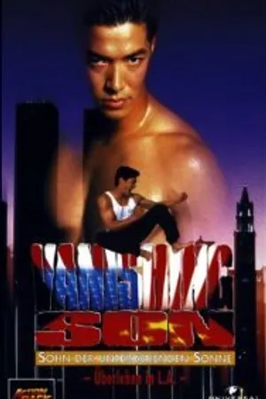 Постер к фильму Исчезающий сын (1994)