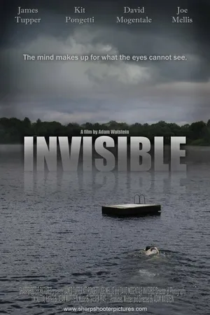 Постер к фильму Invisible (2006)