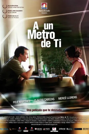 Постер к фильму В метре от тебя (2009)