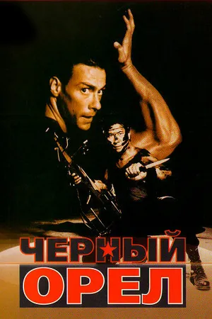 Постер к фильму Черный орел (1988)