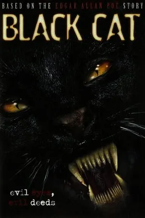 Постер к фильму Черная кошка (2004)