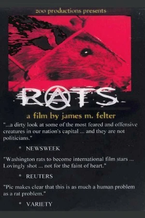 Постер к фильму Rats (1999)