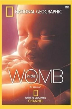 Постер к фильму Life Before Birth (2005)