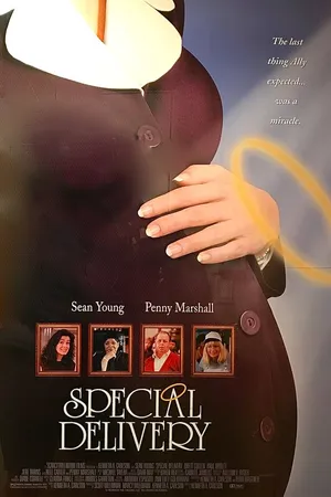 Постер к фильму Специальная доставка (1999)