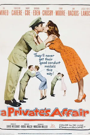 Постер к фильму Частная афера (1959)