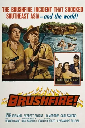 Постер к фильму Локальная война (1962)