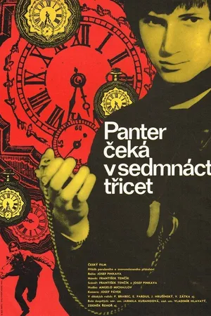 Постер к фильму Пантера ждет в 17,30 (1972)