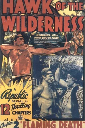 Постер к фильму Hawk of the Wilderness (1938)