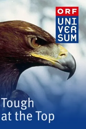 Постер к фильму Tough at the Top (1998)
