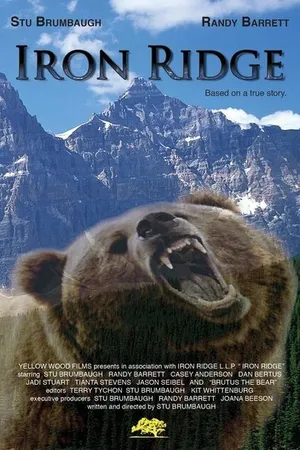 Постер к фильму Iron Ridge (2008)