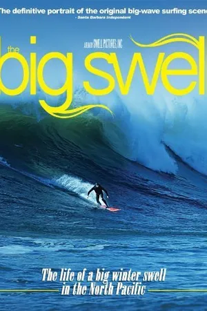 Постер к фильму The Big Swell (2004)