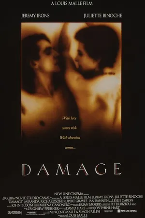 Постер к фильму Ущерб (1992)