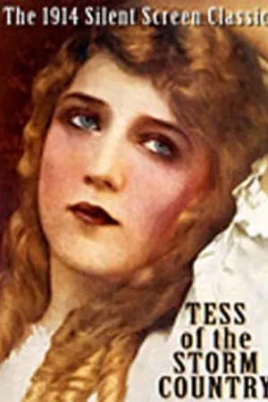 Постер к фильму Тэсс из Страны бурь (1914)