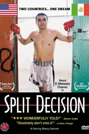 Постер к фильму Split Decision (2000)