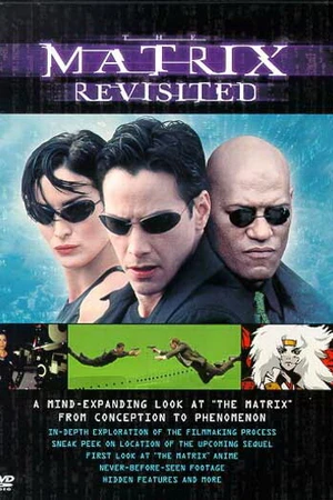 Постер к фильму Возвращаясь к матрице (2001)
