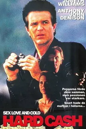 Постер к фильму Секс, любовь и наличка (1993)