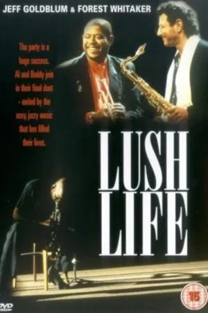 Постер к фильму Шикарная жизнь (1993)