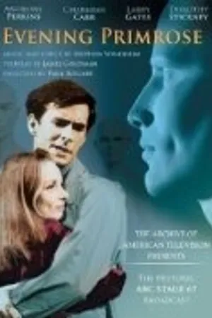 Постер к фильму Вечерний первоцвет (1966)