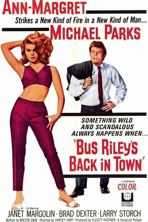 Постер к фильму Возвращение Баса Райли (1965)