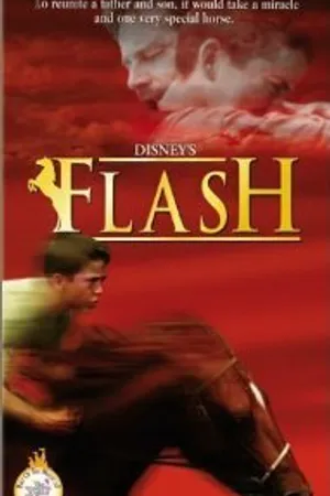 Постер к фильму Вспышка (1997)