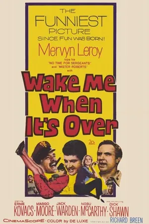 Постер к фильму Разбудите меня, когда это закончится (1960)