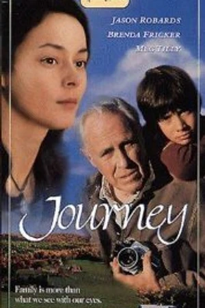 Постер к фильму Джорни (1995)