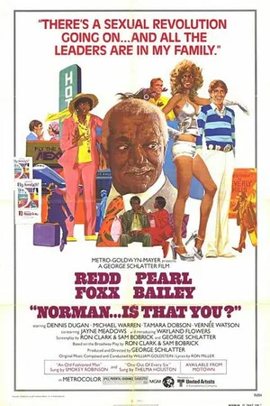 Постер к фильму Норман... это ты? (1976)