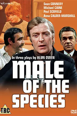 Постер к фильму Мужской род (1969)