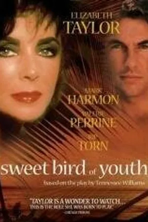 Постер к фильму Сладкоголосая птица юности (1989)
