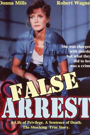 Постер к фильму Ошибочный арест (1991)