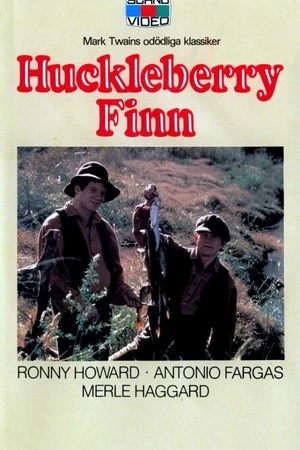 Постер к фильму Гекльберри Финн (1975)