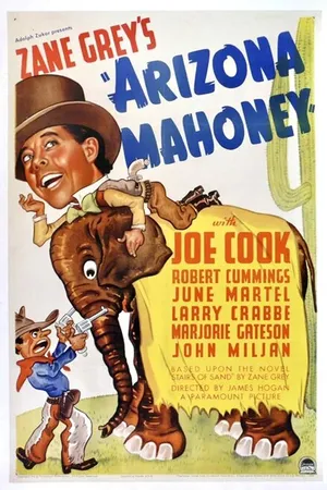 Постер к фильму Arizona Mahoney (1936)
