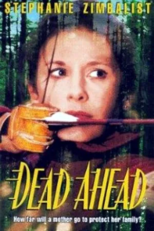 Постер к фильму Впереди (1996)