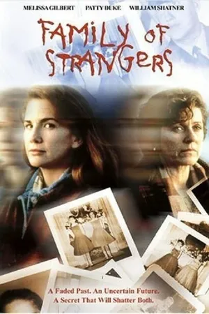 Постер к фильму Семья незнакомцев (1993)