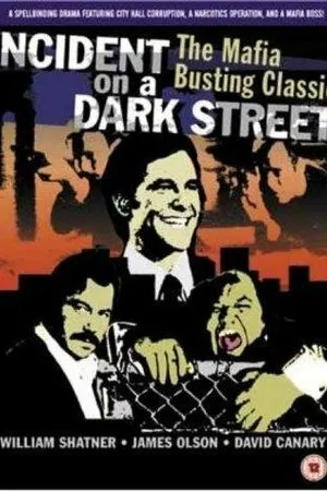 Постер к фильму Incident on a Dark Street (1973)
