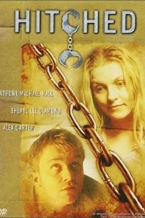 Постер к фильму Женатый (2001)