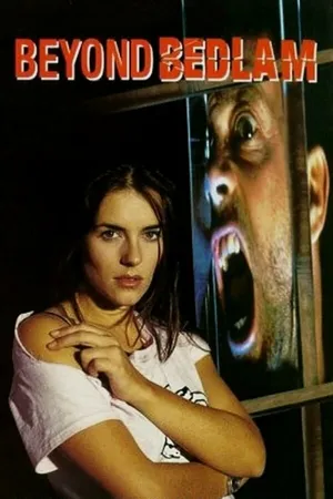 Постер к фильму Большой бедлам (1994)