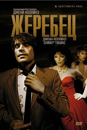 Постер к фильму Жеребец (1978)