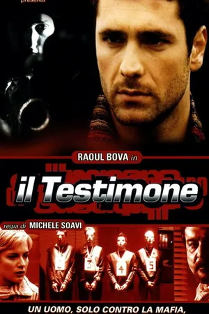 Постер к фильму Свидетель (2001)