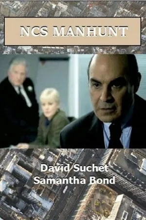 Постер к сериалу Национальная полиция: Облава (2002)