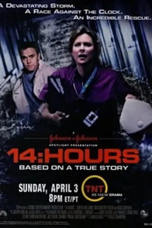 Постер к фильму 14 часов (2005)