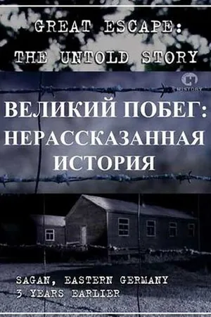 Постер к фильму Великий побег: Нерассказанная история (2001)