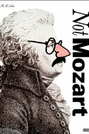 Постер к фильму Not Mozart: Letters, Riddles and Writs (1991)
