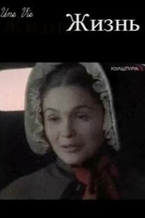 Постер к фильму Жизнь (2004)