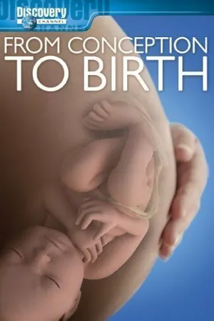Постер к фильму From Conception to Birth (2005)