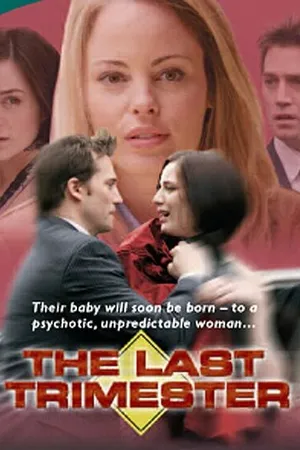 Постер к фильму The Last Trimester (2007)