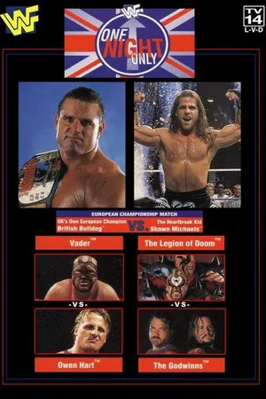 Постер к фильму WWF Только одну ночь (1997)